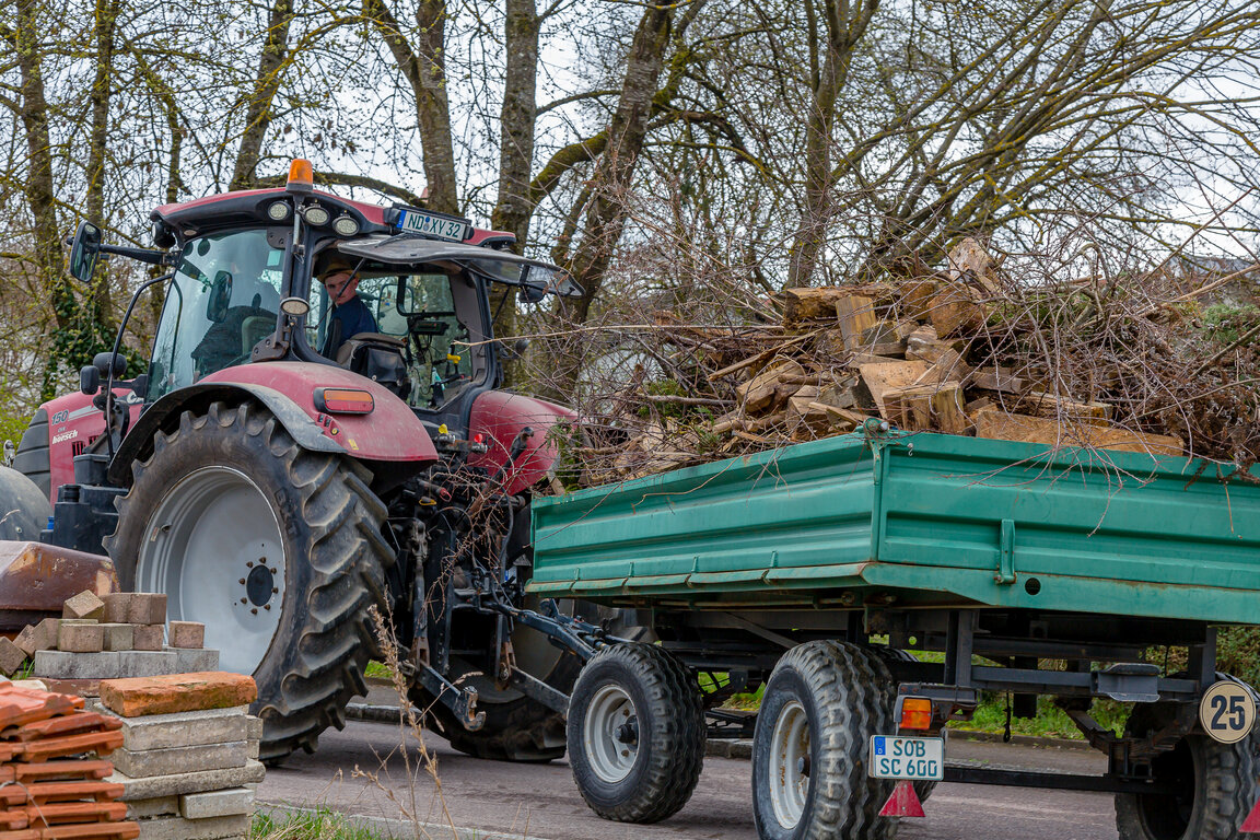 Image: _JA 28273.jpg